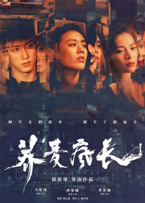 办理鸣门教育大学毕业证